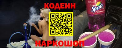 мдпв Кингисепп