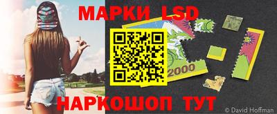 мдпв Кингисепп