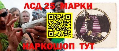 мдпв Кингисепп