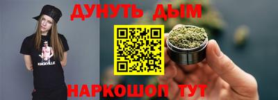 мдпв Кингисепп