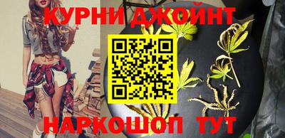 мдпв Кингисепп