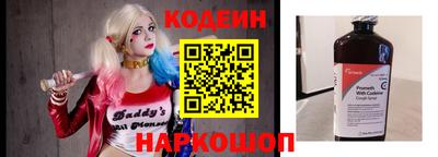 мдпв Кингисепп