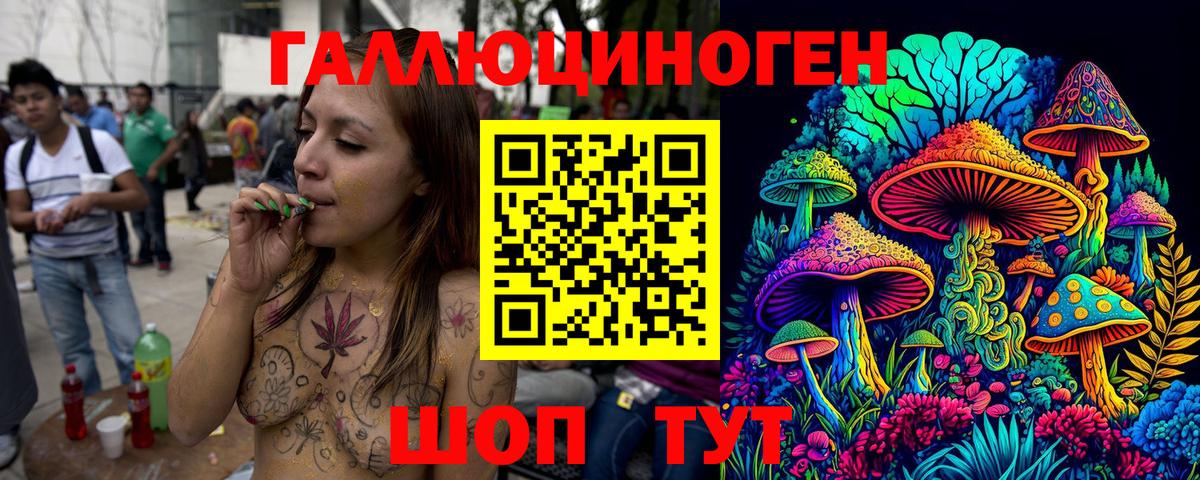 Галлюциногенные грибы Psilocybine cubensis Королёв