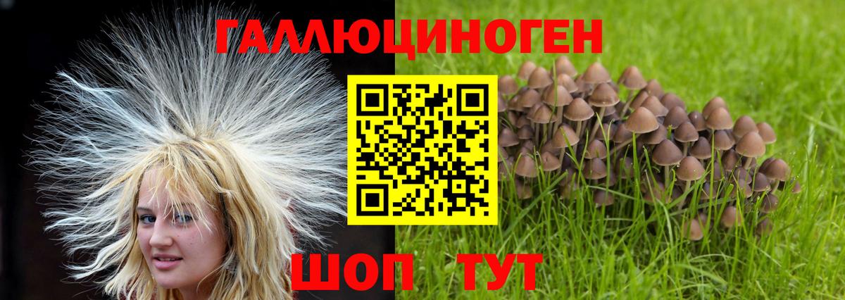 Псилоцибиновые грибы Magic Shrooms  Вход с VPN  Королёв 